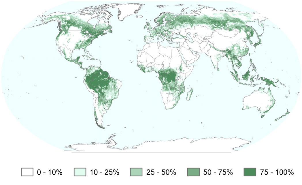 MODIS forest