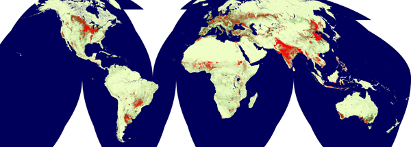 global cropland