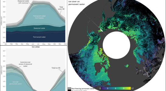 Global seasonal dynamics of inland water and ice