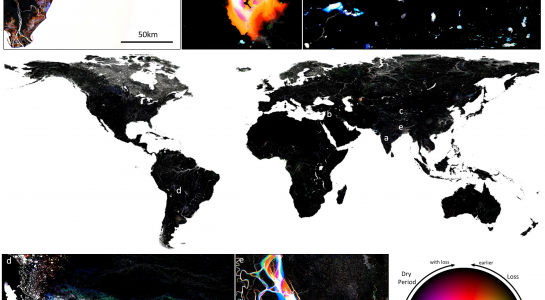 Global surface water dynamics 1999-2018