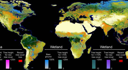 Global land cover and land use 2019