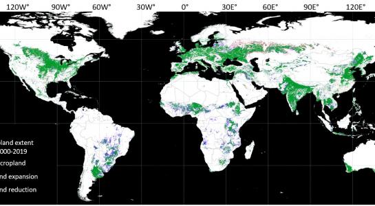 Global cropland