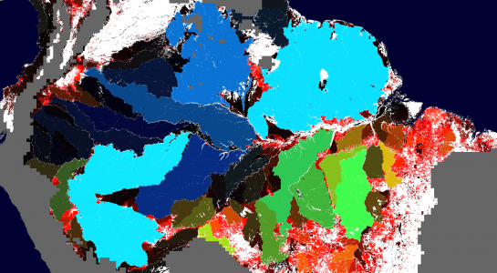 Fate of Tropical Forest Fragments