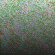 europe tree canopy dynamics